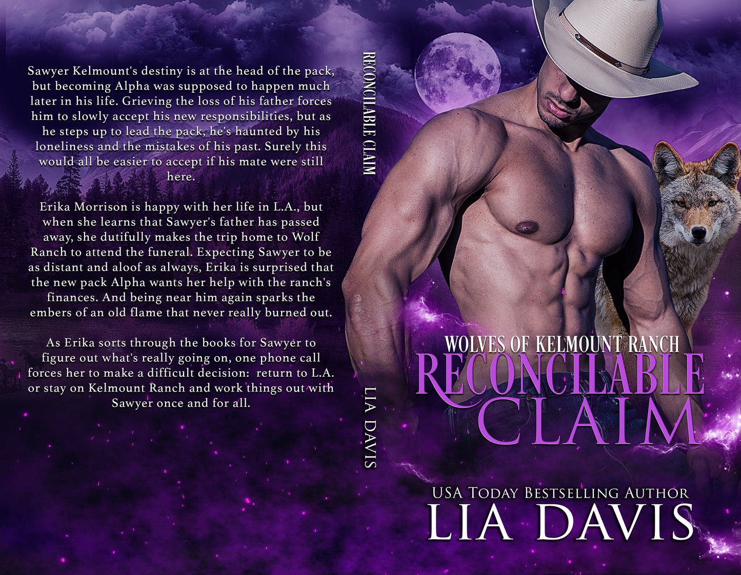 Reconcilable Claim (Paperback)